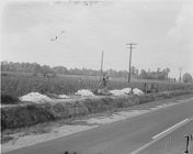 African American children picking cotton 
